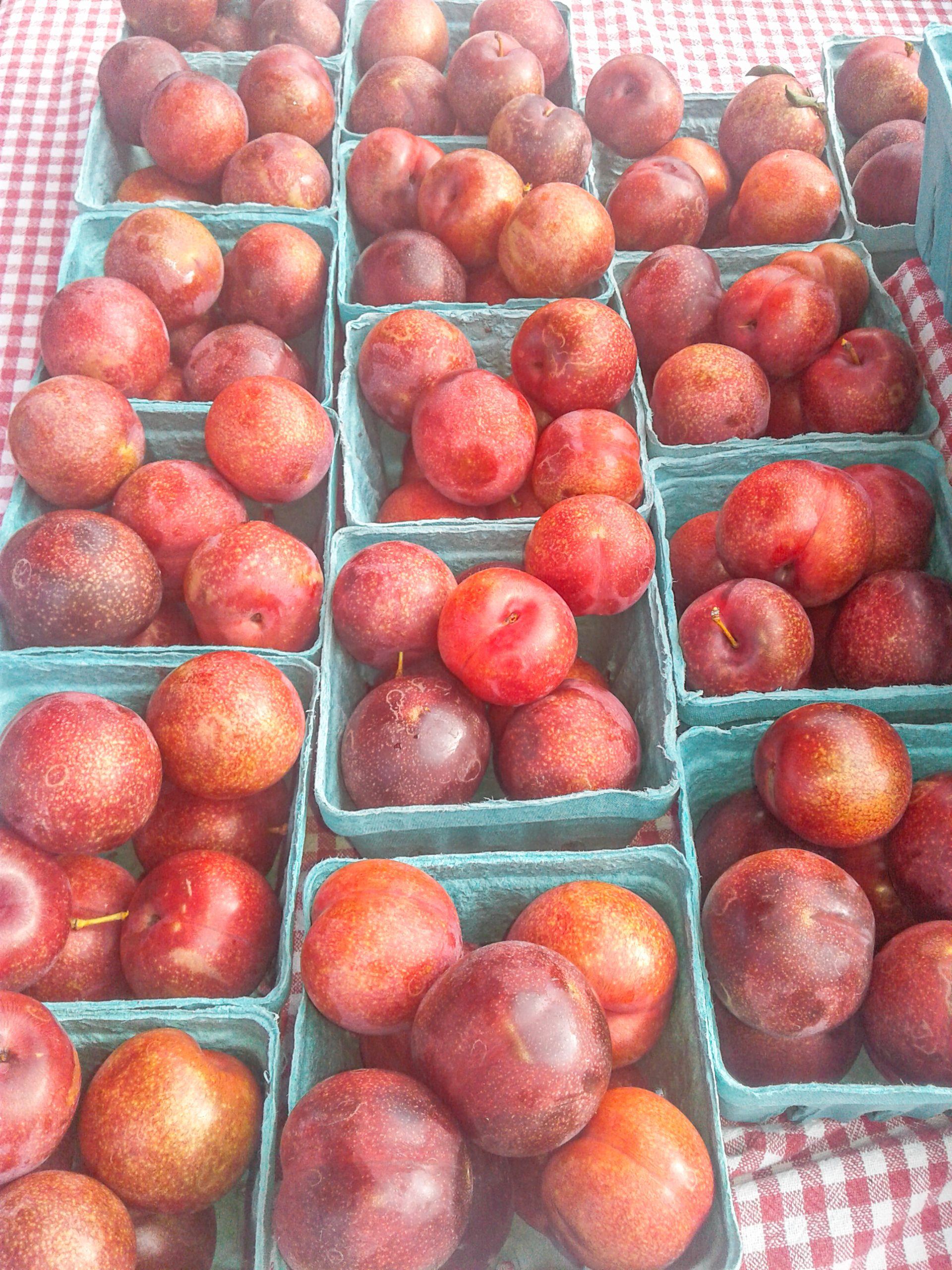 farmers market fresh fruit
